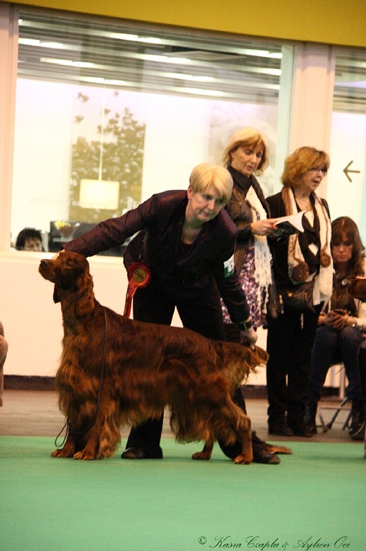 Crufts2011_2 145.jpg